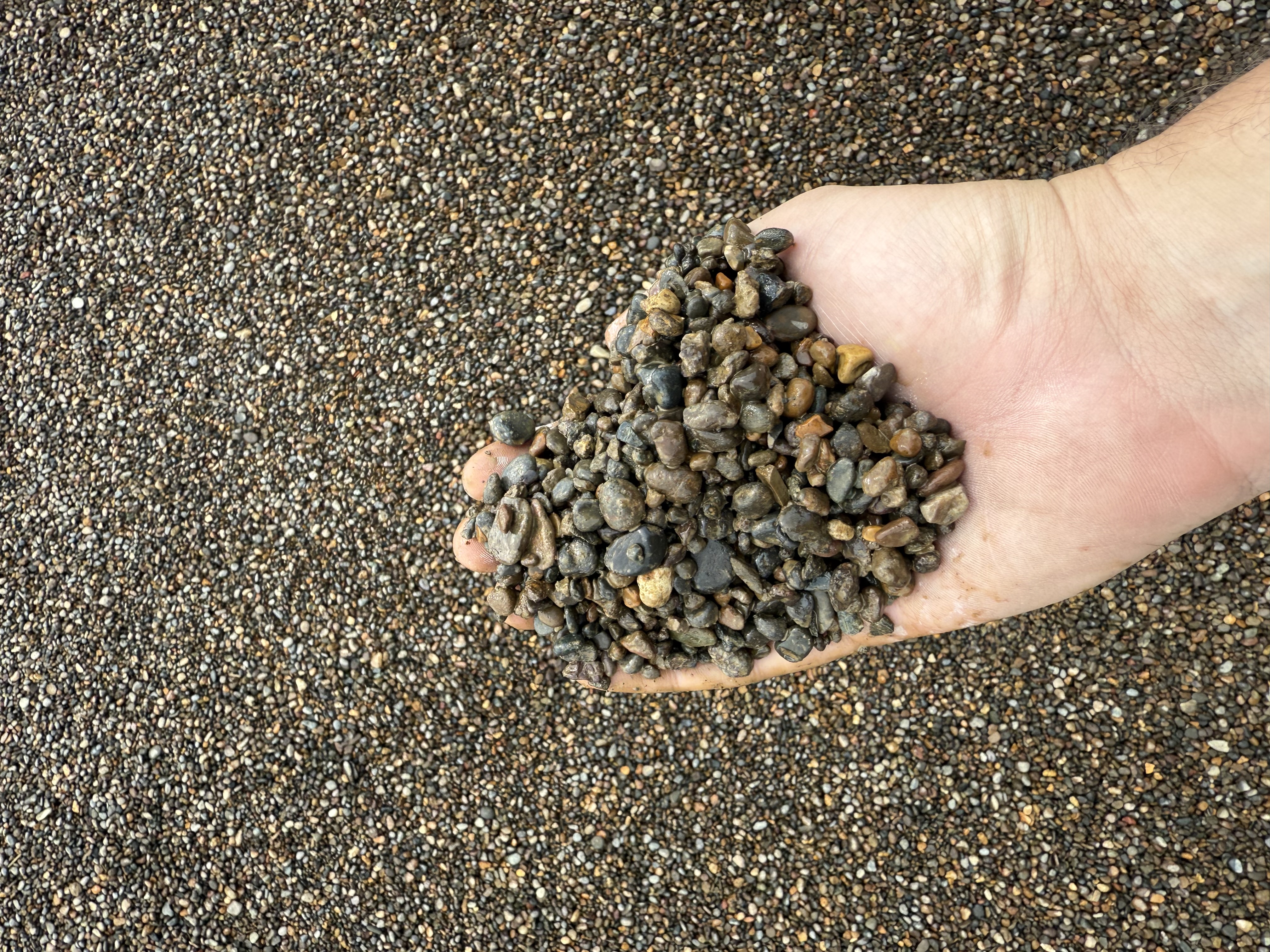 Pea Gravel 3/8" River Rock delivered in bulk by Yard Drop
