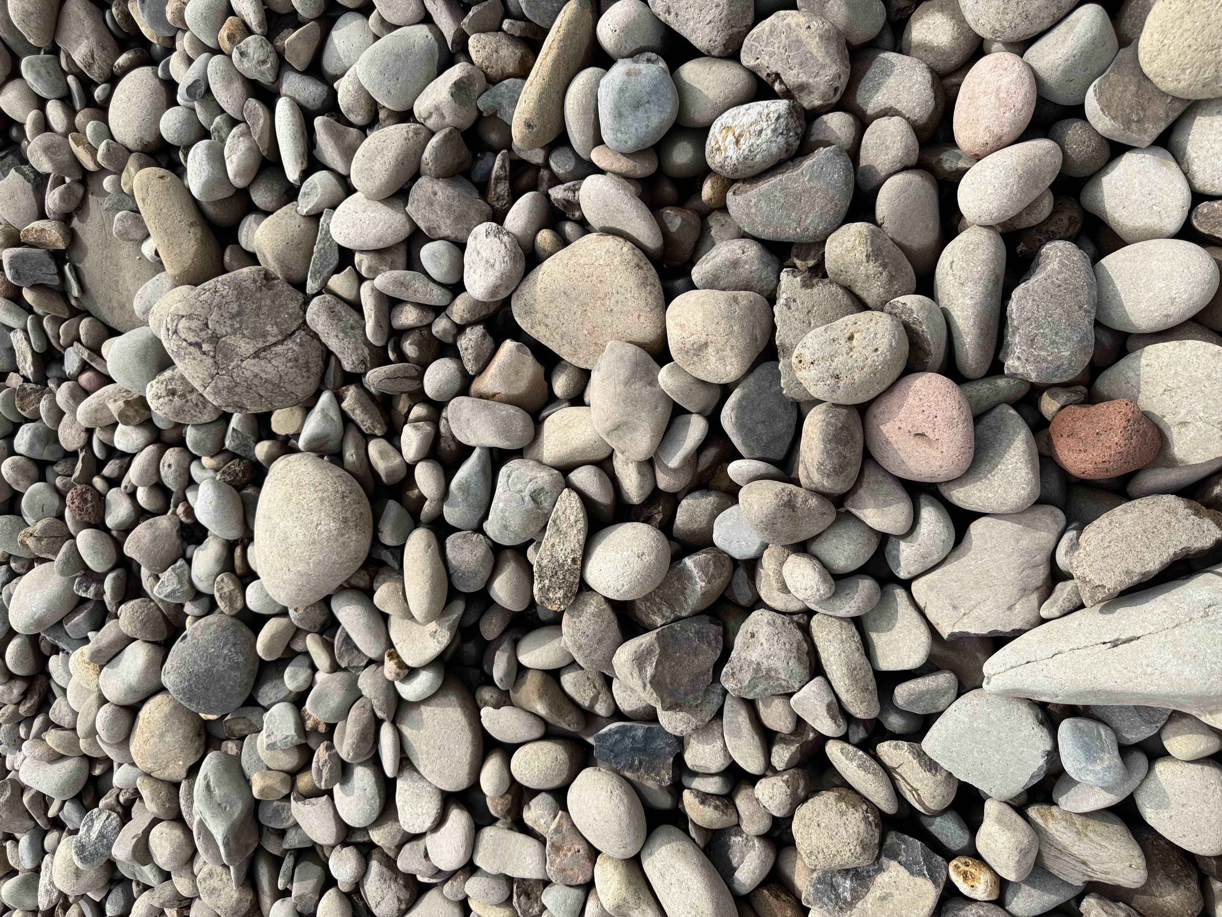 Large River Rock 2"-6" delivered in bulk by Yard Drop